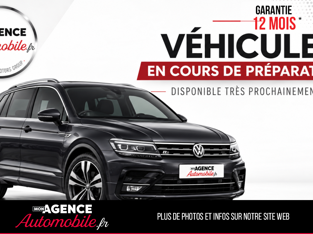 Volkswagen Tiguan II R-Line 2.0 TDi 4Motion DSG7 150 Cv Boîte Auto